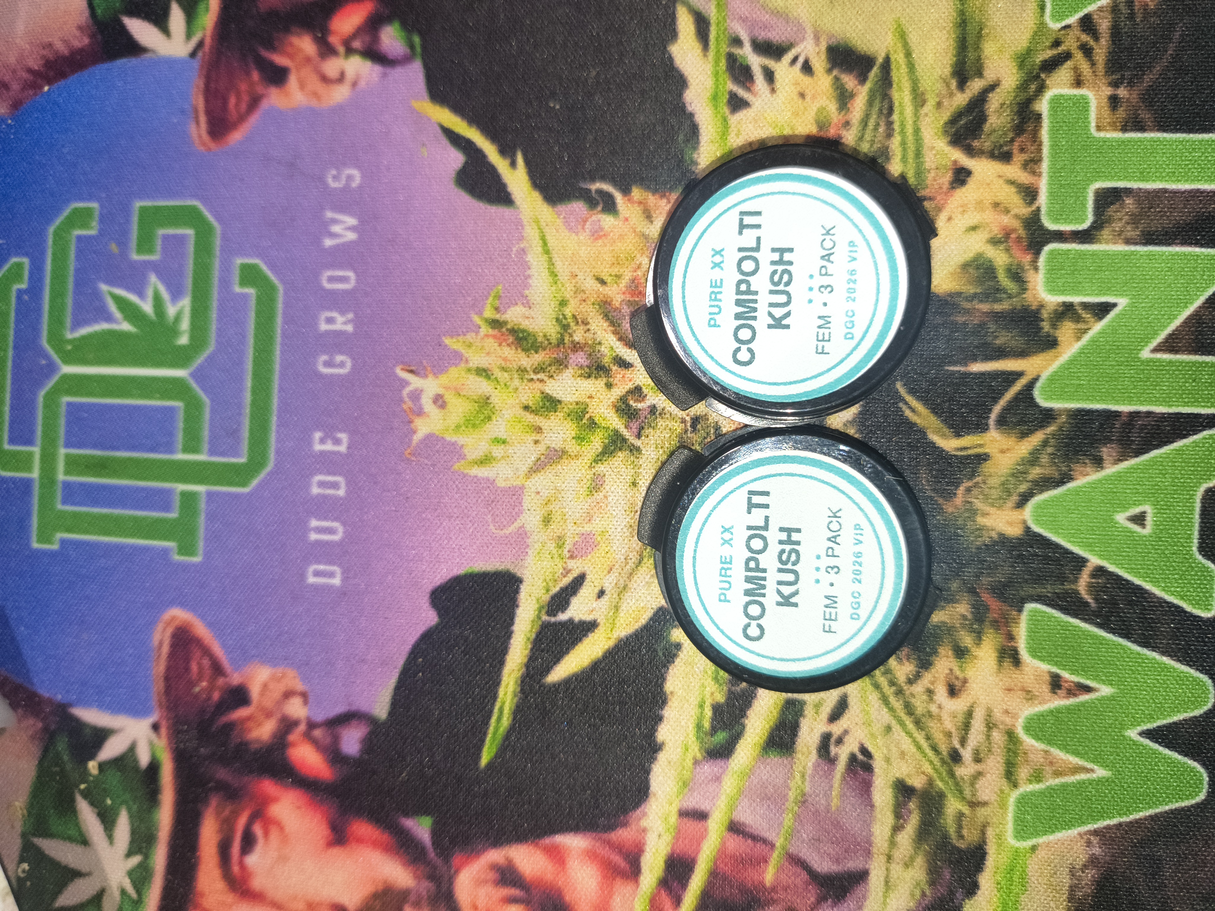Compolti kush — image 1