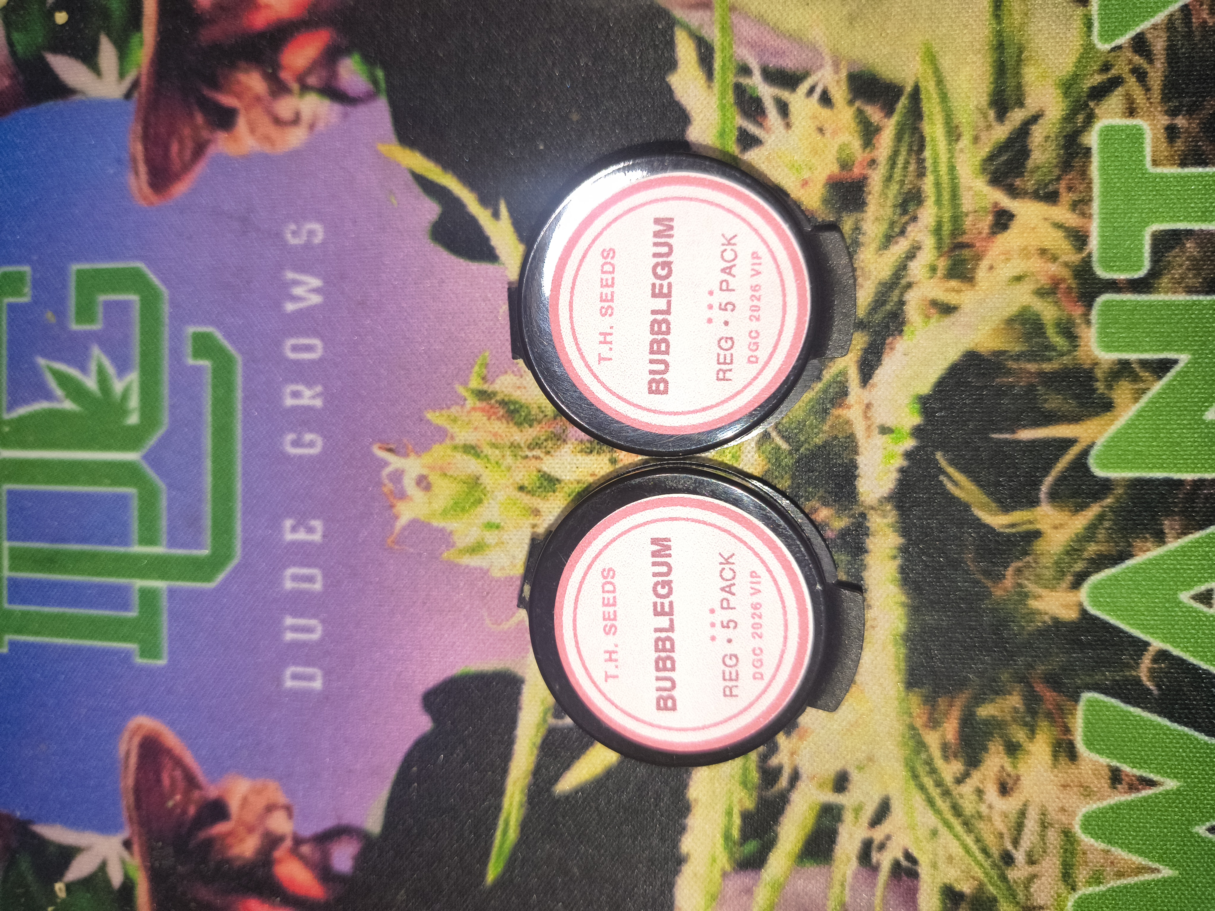 Bubblegum — image 1