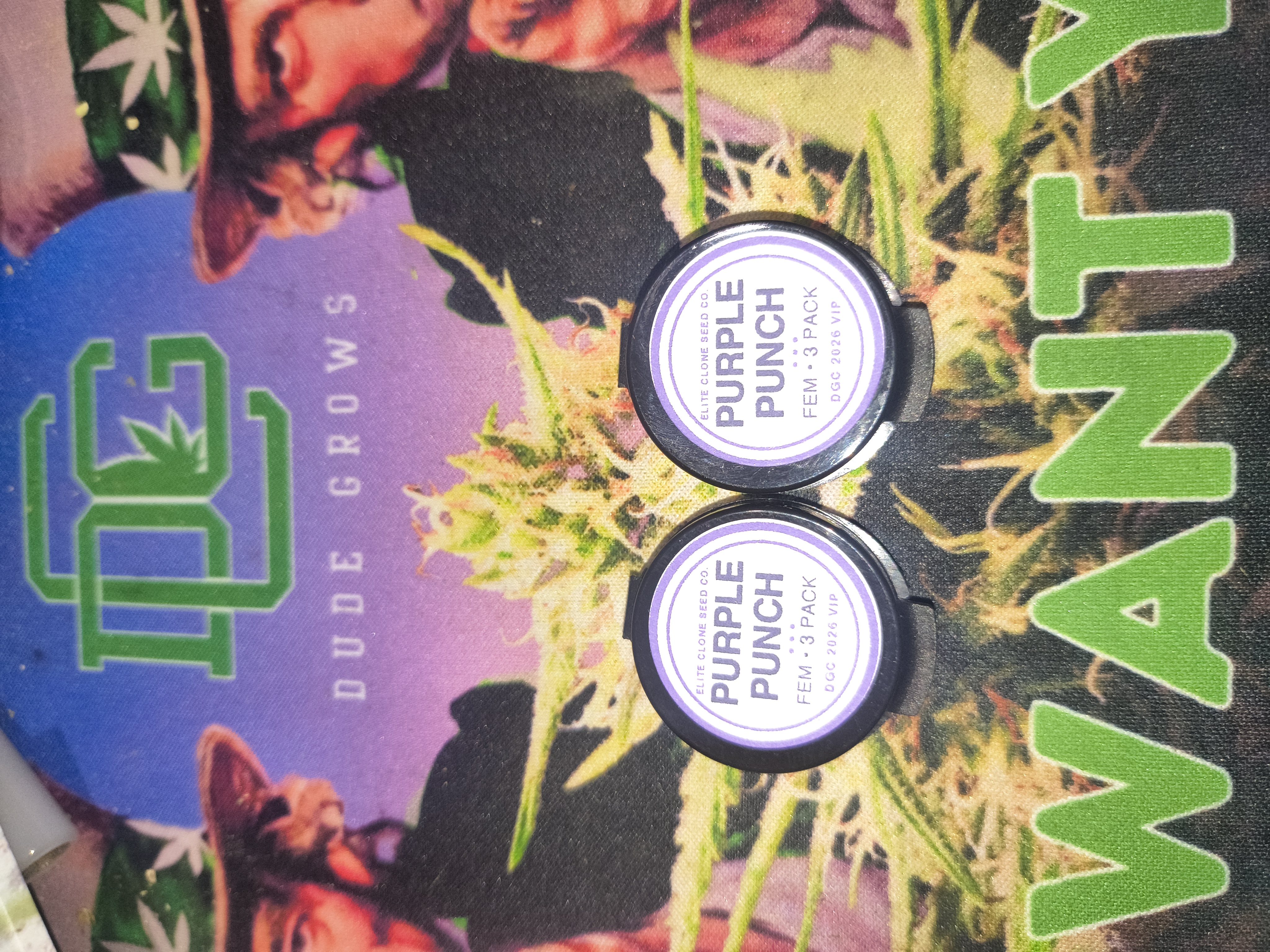 Purple punch s1 — image 1