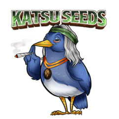Katshu Seeds