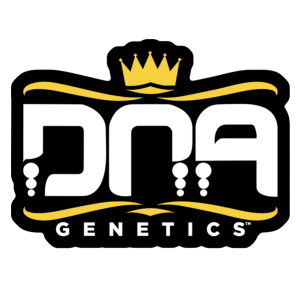 DNA Genetics