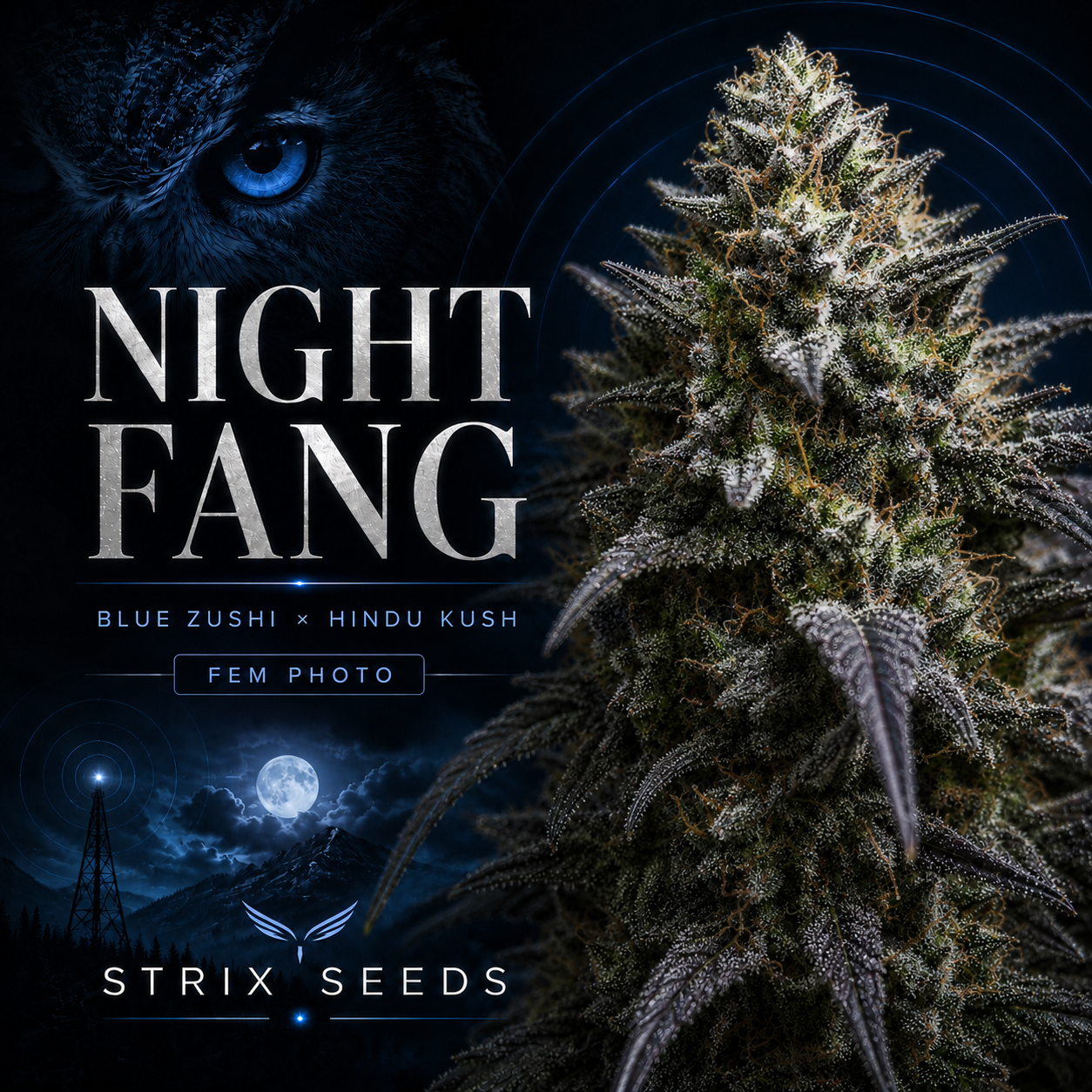 Free Pack of Night Fang