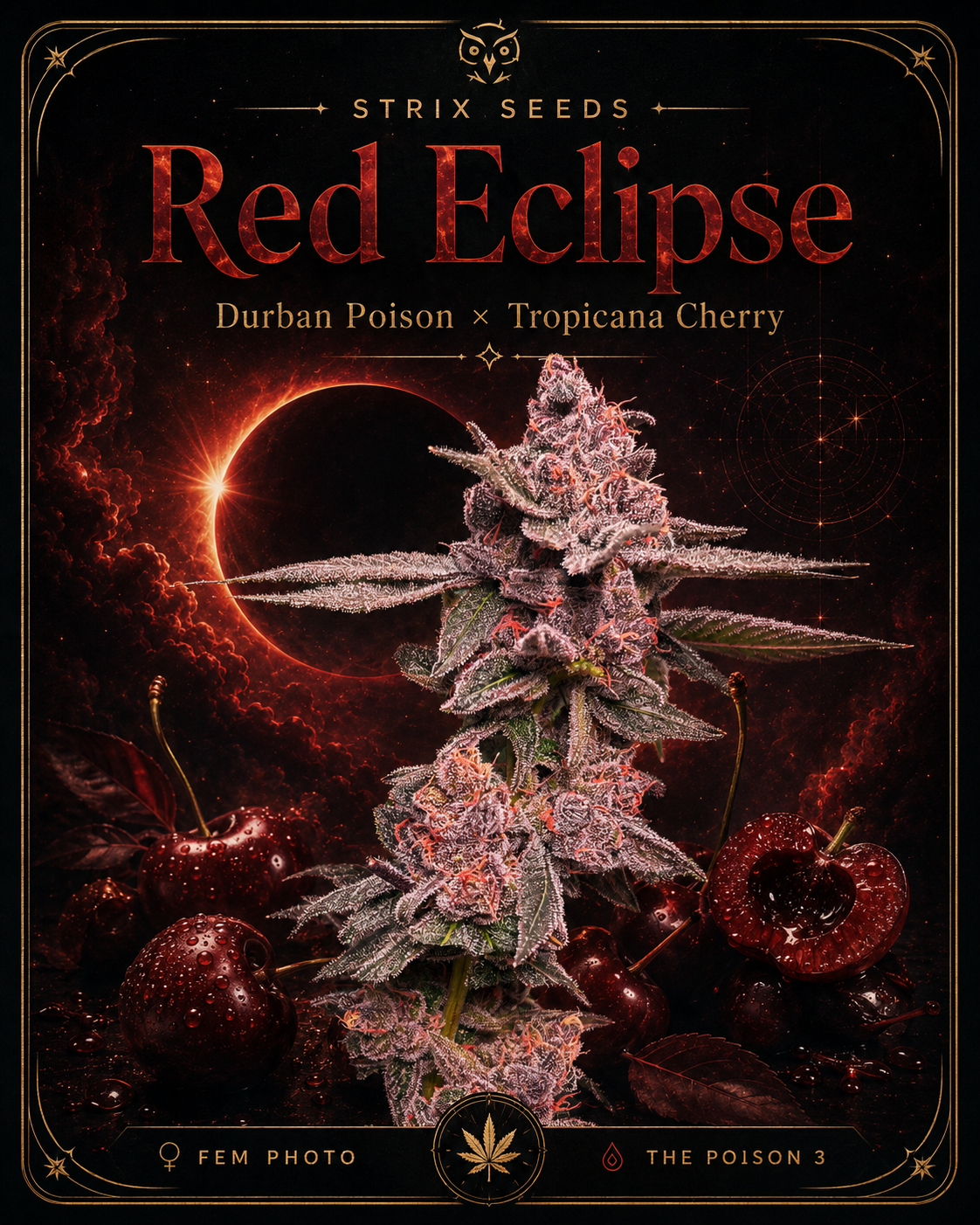 Red Eclipse