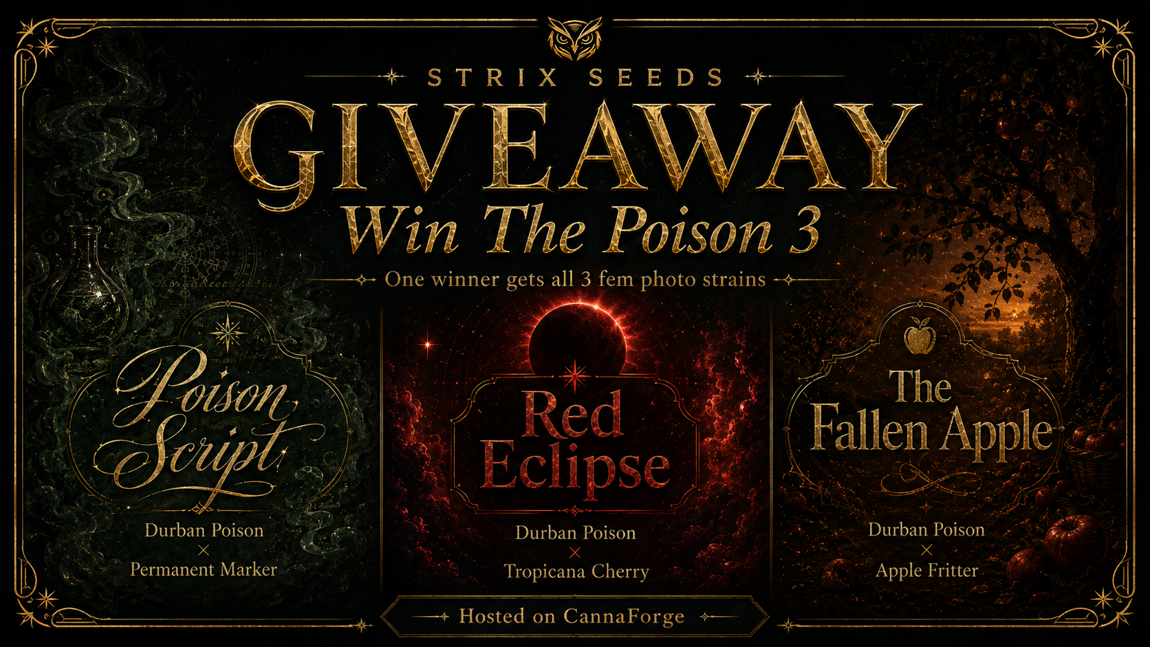 Free Chance To win All 3 packs  from the Poison 3 Collection From Strix Seeds