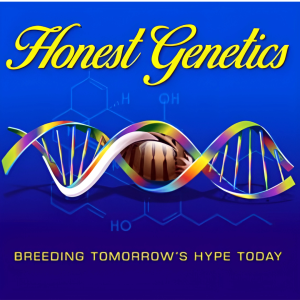 Honest Genetics