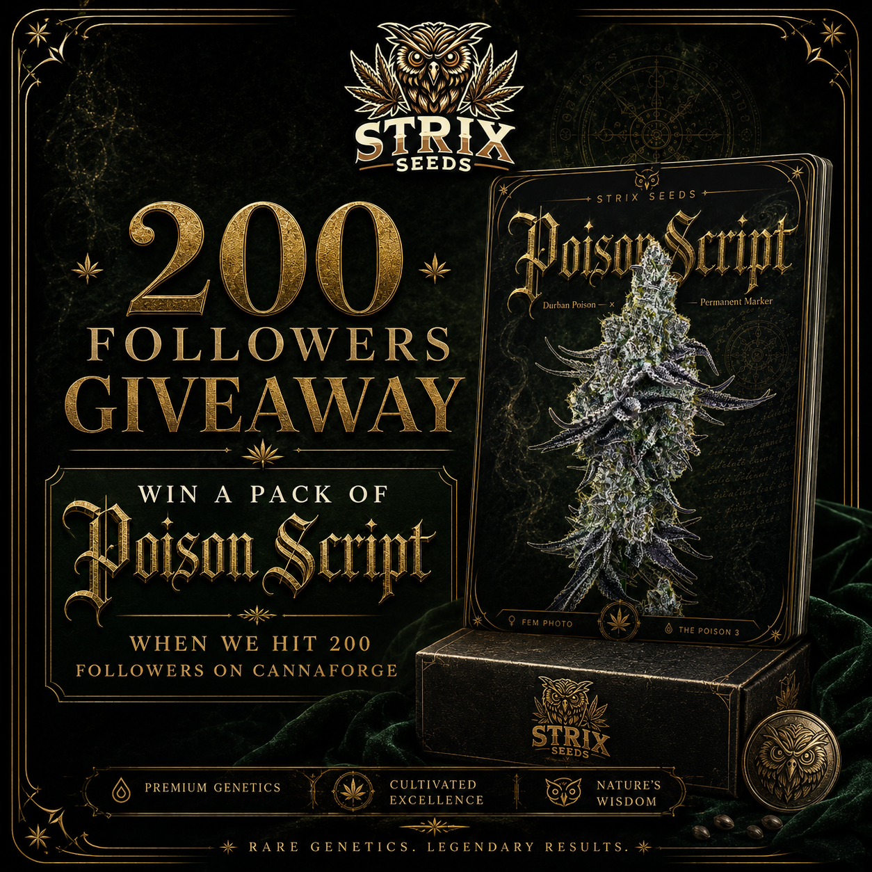 Strix Seeds Reaches 200 Followers!