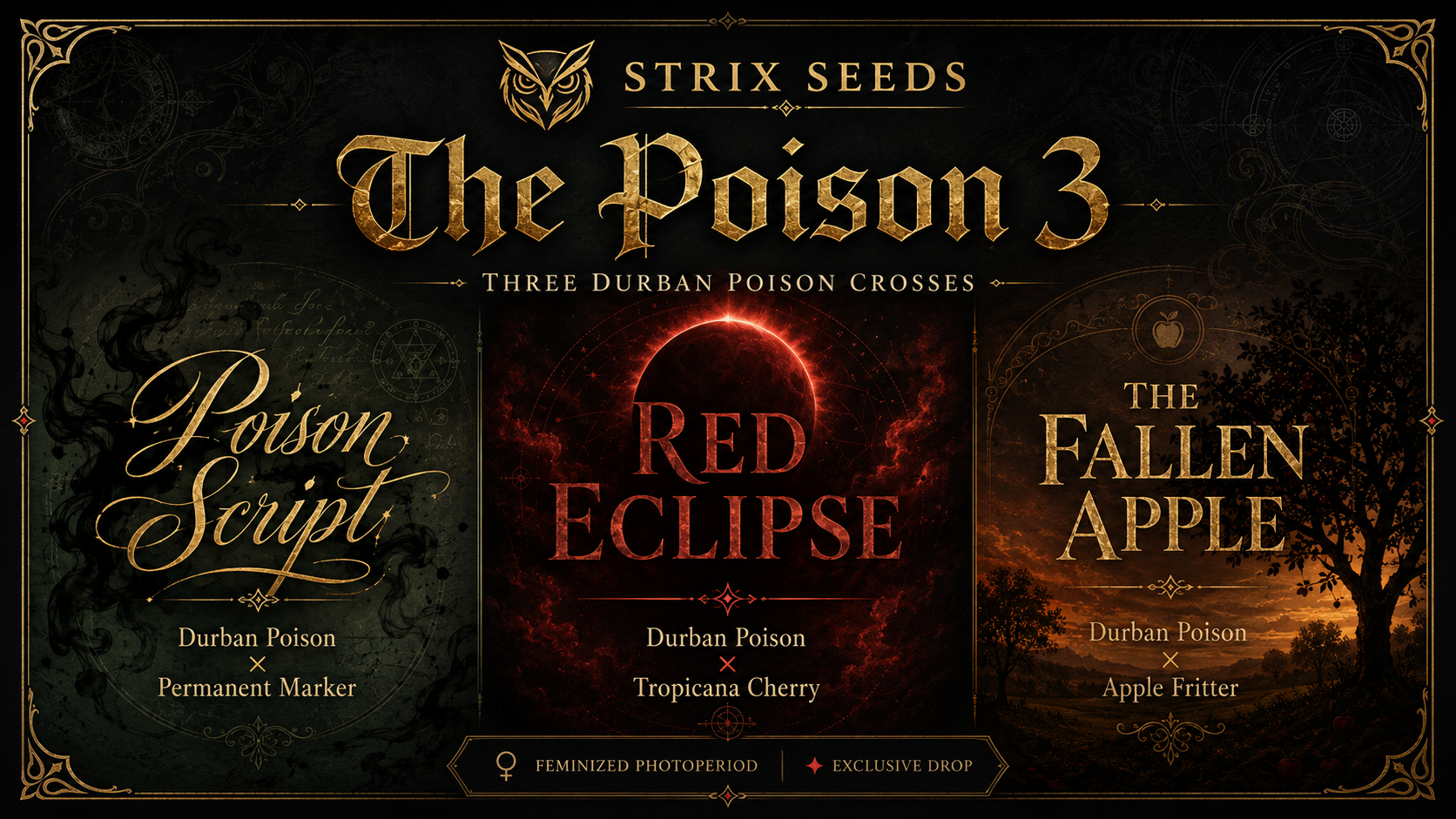 Strix Seeds Introduces The Poison 3