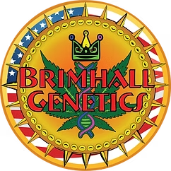 Brimhall Genetics