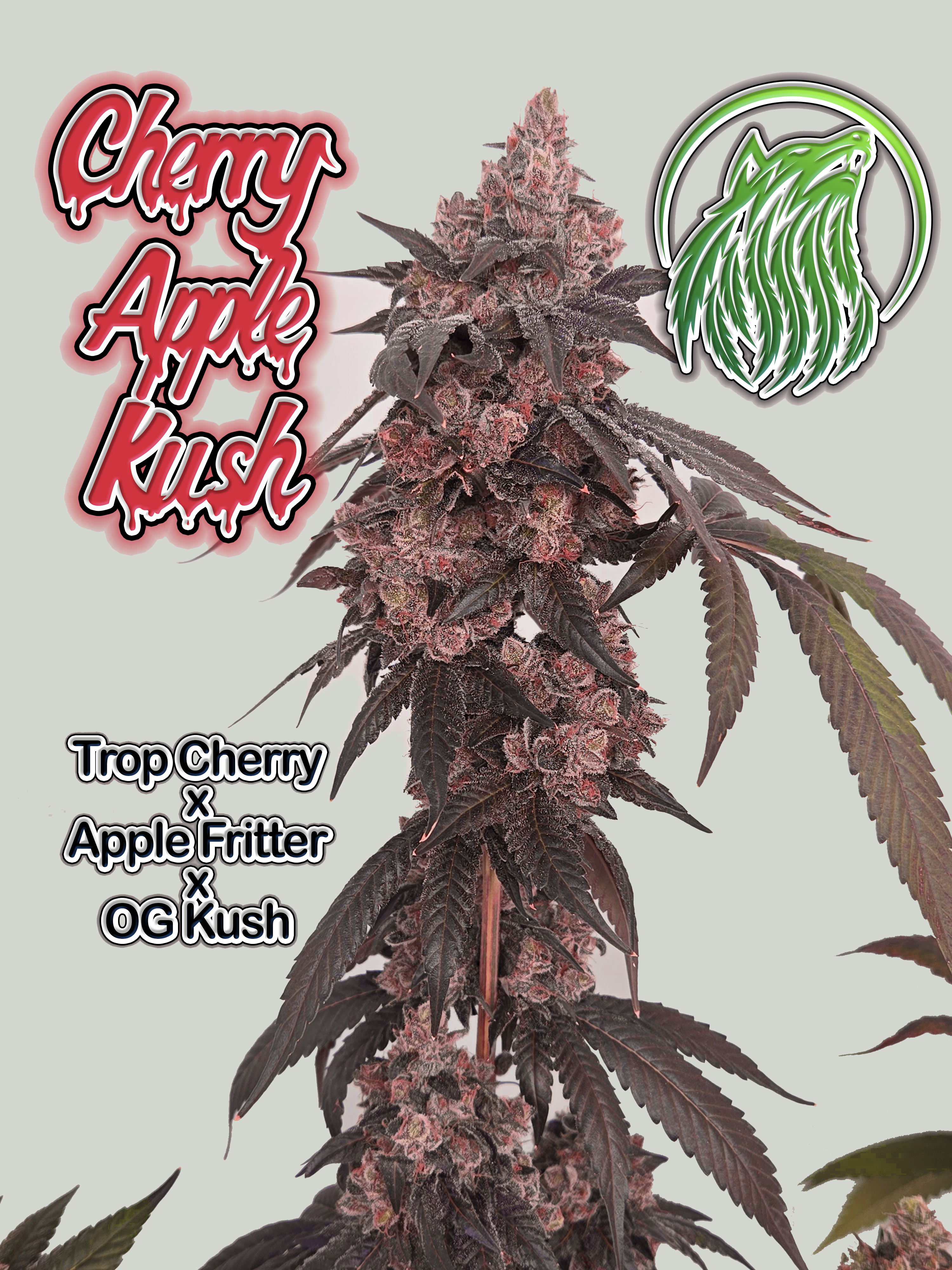Free Pack of Cherry Apple Kush 