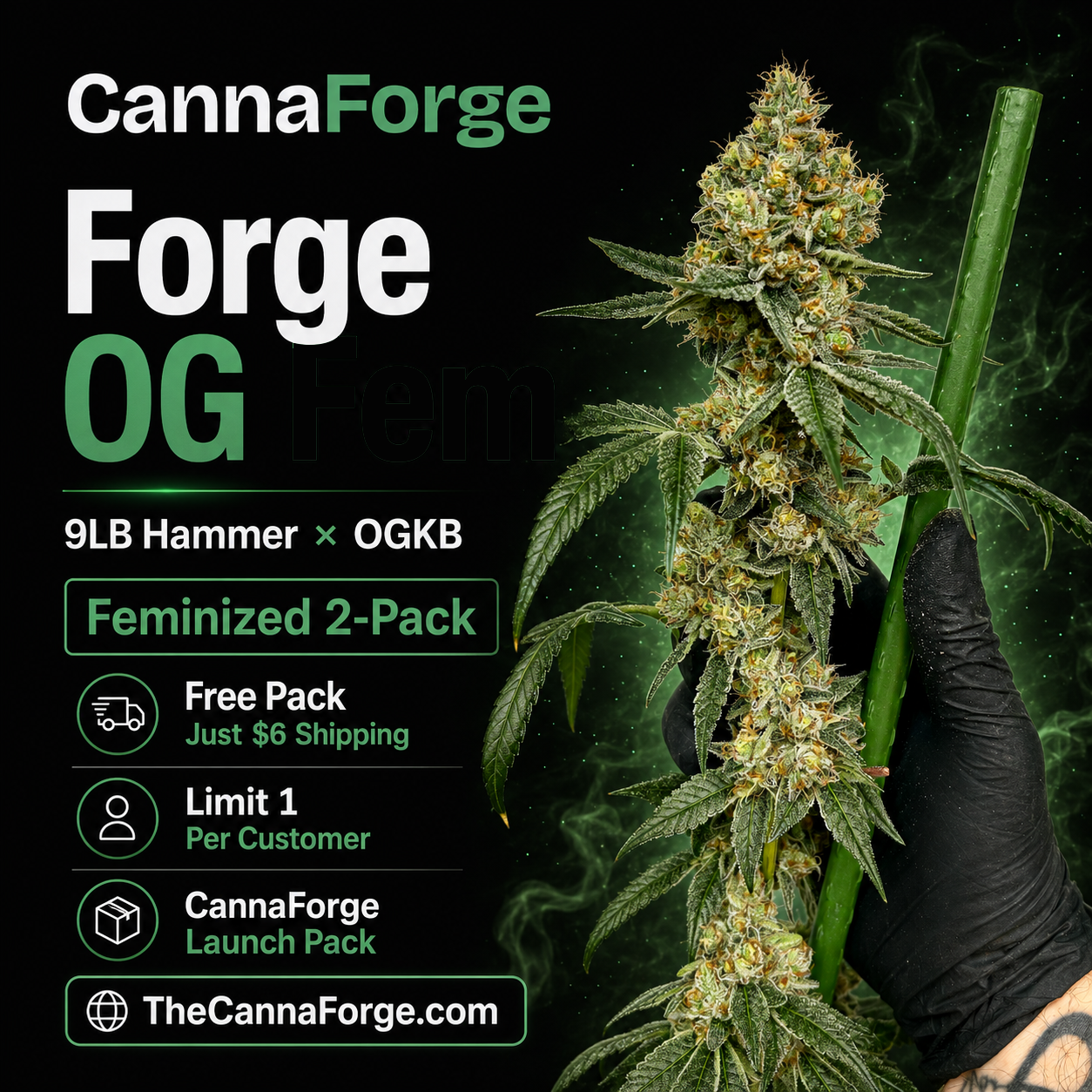 Forge OG — image 1
