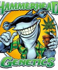 Hammerhead Genetics
